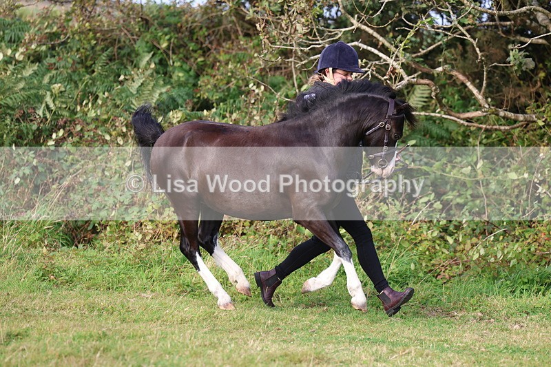 3E7A3140 - Class 12: M & M Small Breeds