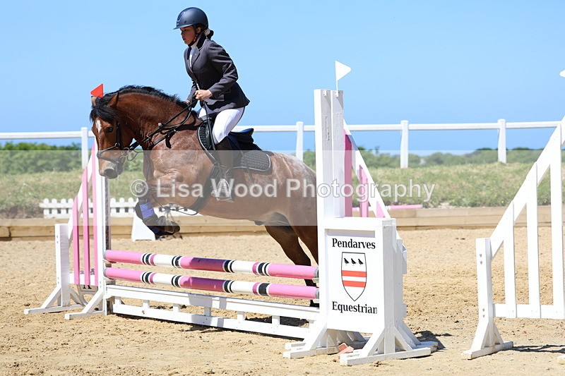 3E7A2368 - Class 4/5: 60cm Open Teams and Individuals