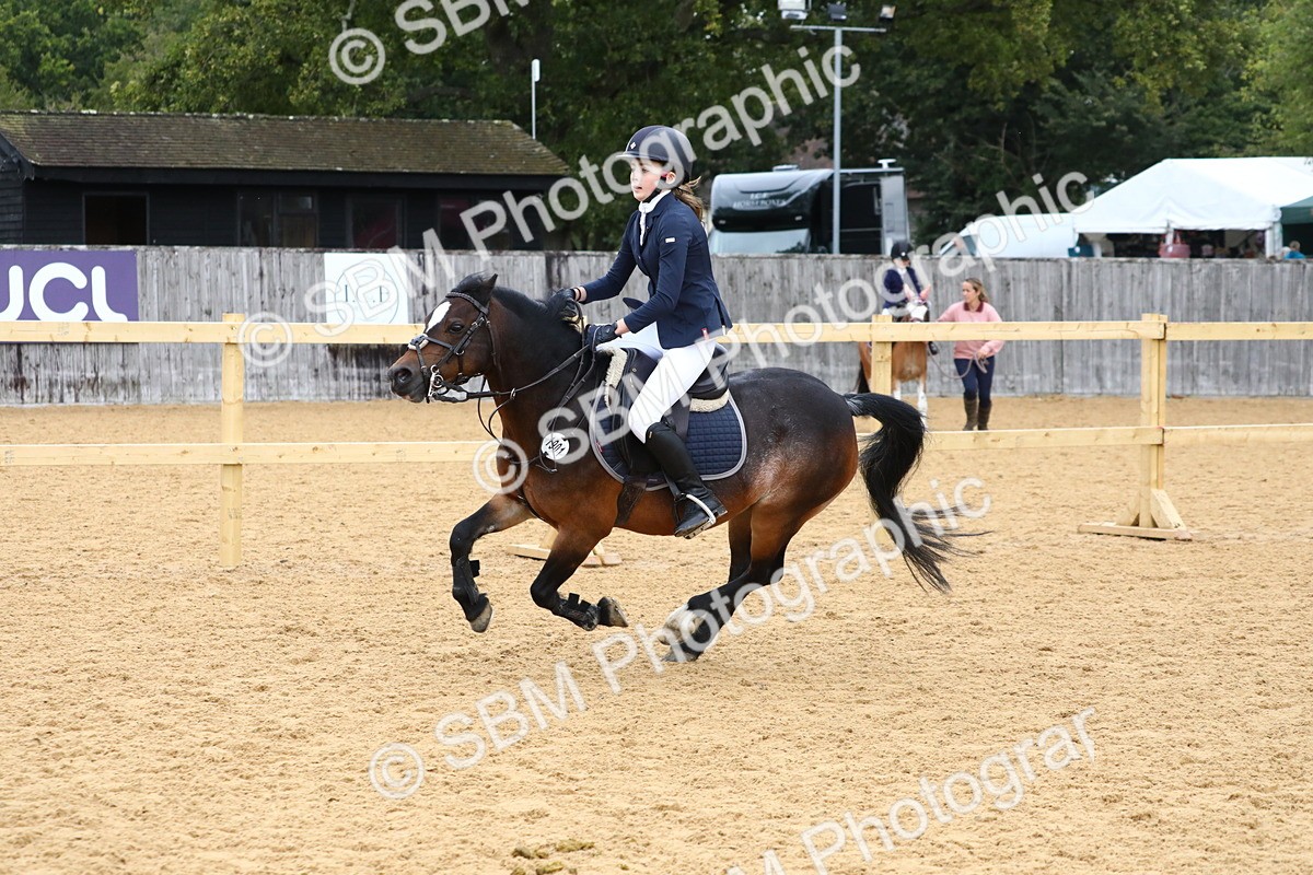 SBM_62292 - J64 - Junior Pony 60cm Championship