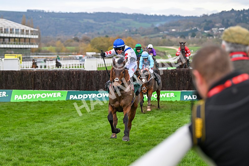 161124-Race 4-Il Ridoto-0447 - Race 4