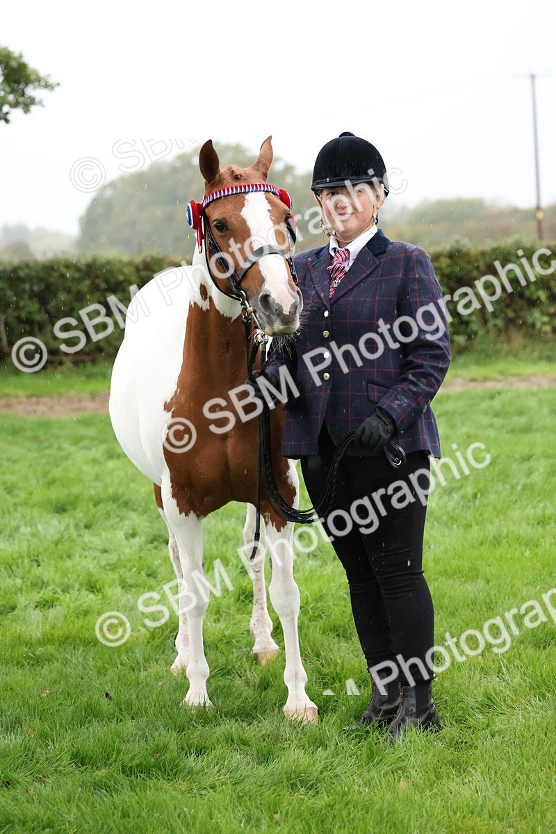 SBM_35305 - S10 - Best In Hand Horse & Pony