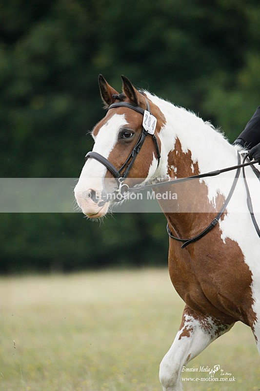 BVRC 030721 74 - Bourne Valley Riding Club Dressage 03/07/21