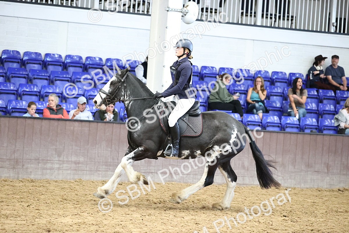 SBM_002263 - Class 6 - Mida Civil Engineering Ltd 80cm Area 12 Championship Qualifier