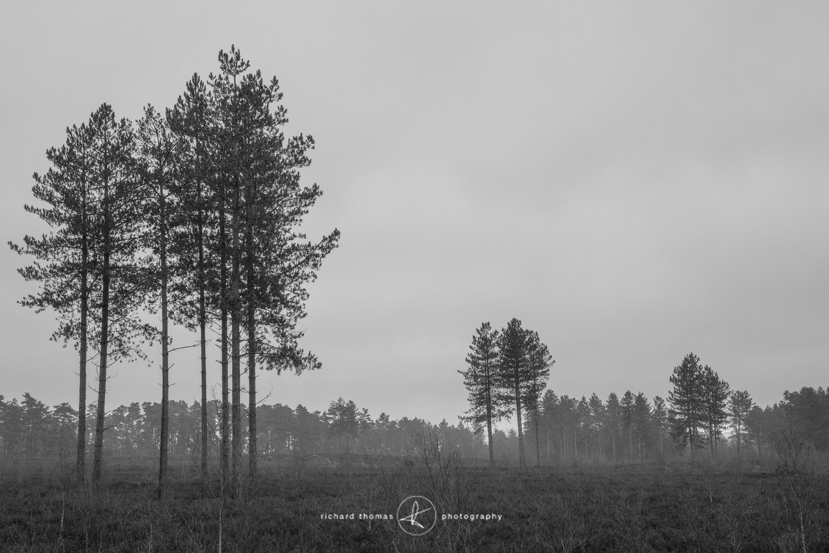 Bottle washers III - Bottlewashers