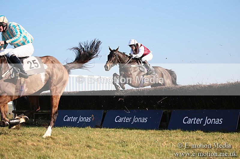 PtP 230219 446 - Vine & Craven Point-To-Point - Barbury 23/02/19