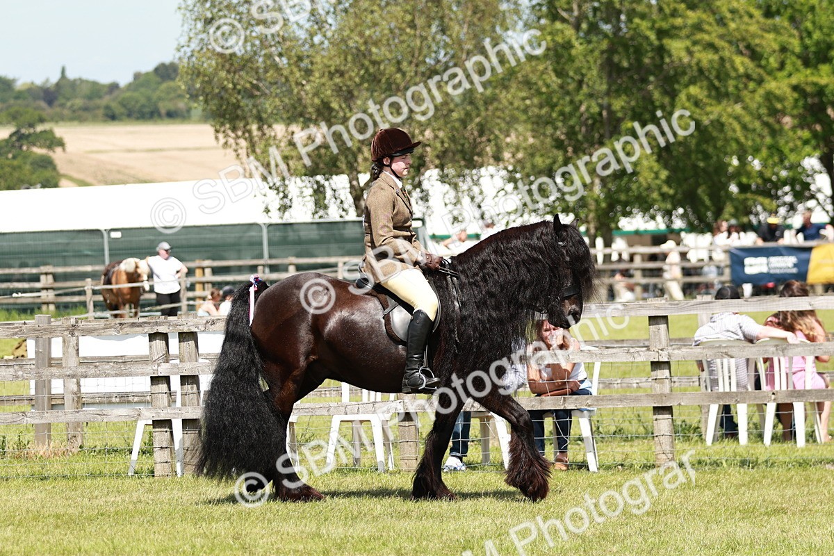 SBM_07025 - Class 26-30 - Mountain and Moorland Ridden