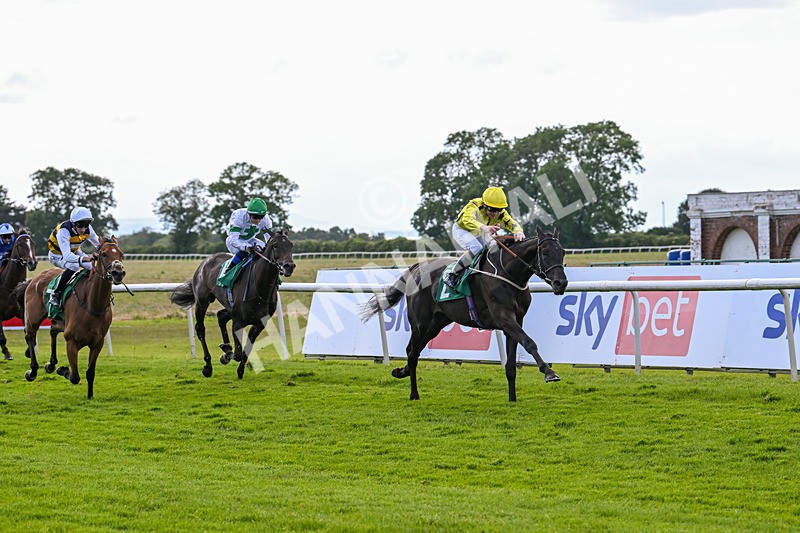 160624-Race 4-Align The Stars-8811 - Race 4