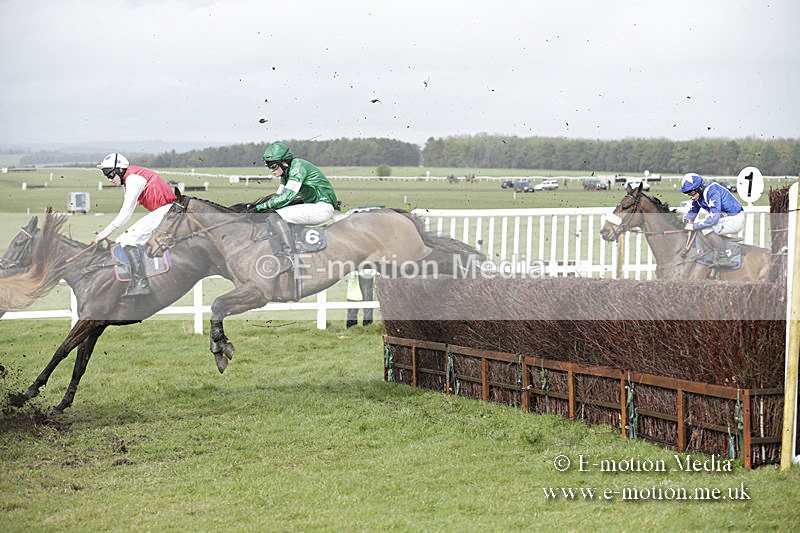 PtP 150320 0391 - New Forest Point-to-Point Larkhill 15/03/20