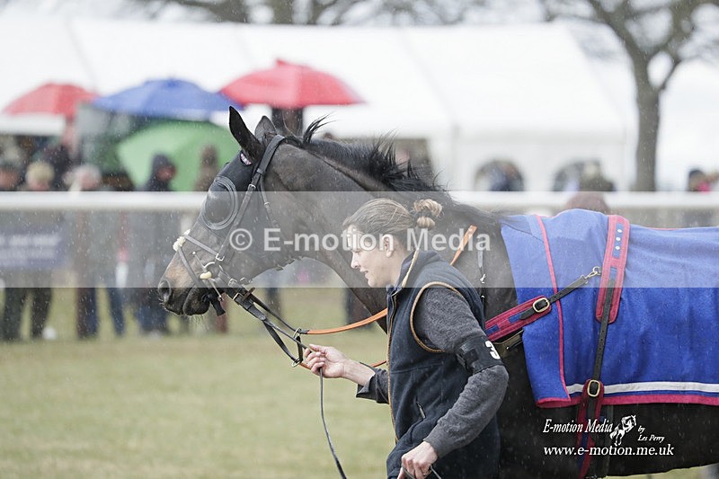 PtP 180323 1055 - Shelfield Park Races with Croome & West Warwickshire Hunt  18/03/23