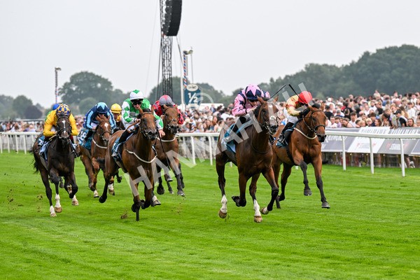 250725-Race 3-Amakhala Warrior-0510 - Race 3 6.38pm Ire-Incentive, It Pays To Buy Irish EBF Restricted Novice Stakes