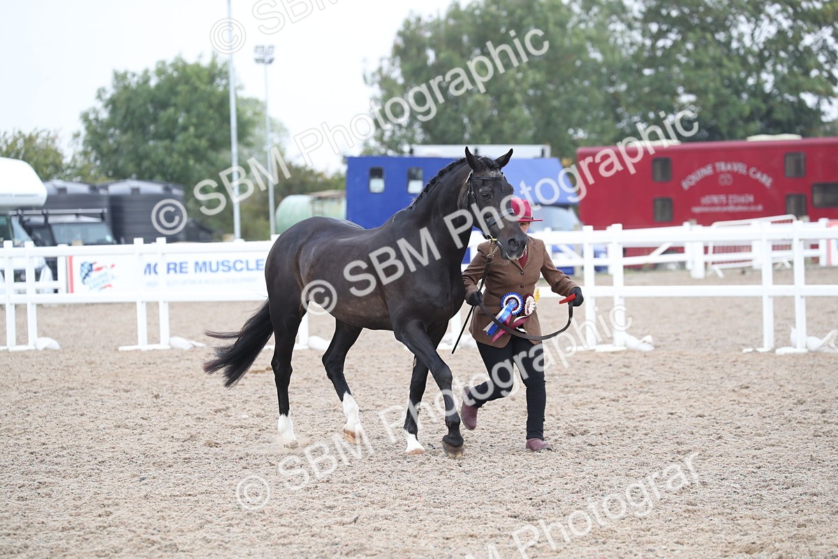 SBM_22608 - Class 604 - 2025 Area - IH Diamond