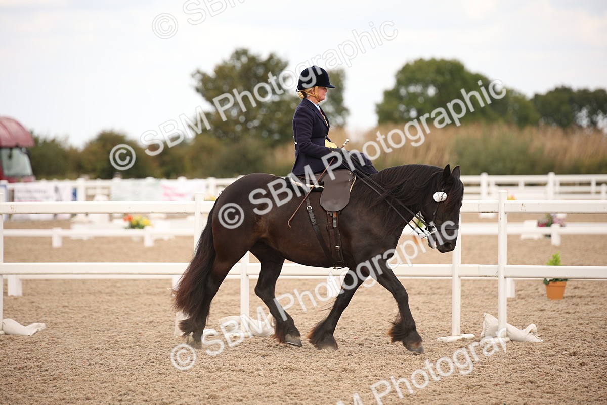 SBM_05325 - Class 22 SSA Equitation
