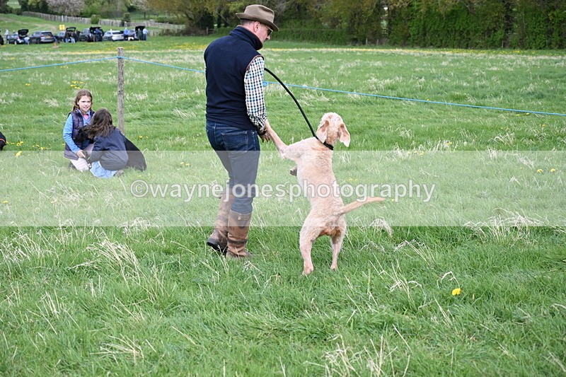 WJ6_8124 - Class 2 Best Pedigree