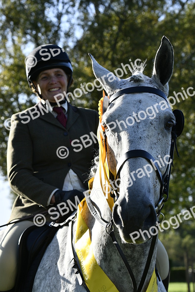 SBM_52264 - S35 - Working Hunter & Working Show Horse