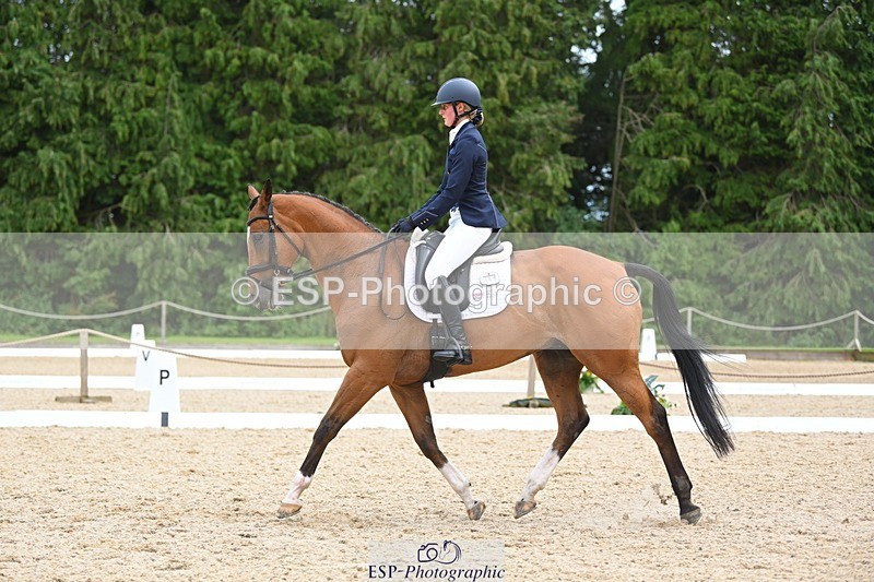 230813-133350-07597 - Cls 13 Medium Bronze 13.15 to End