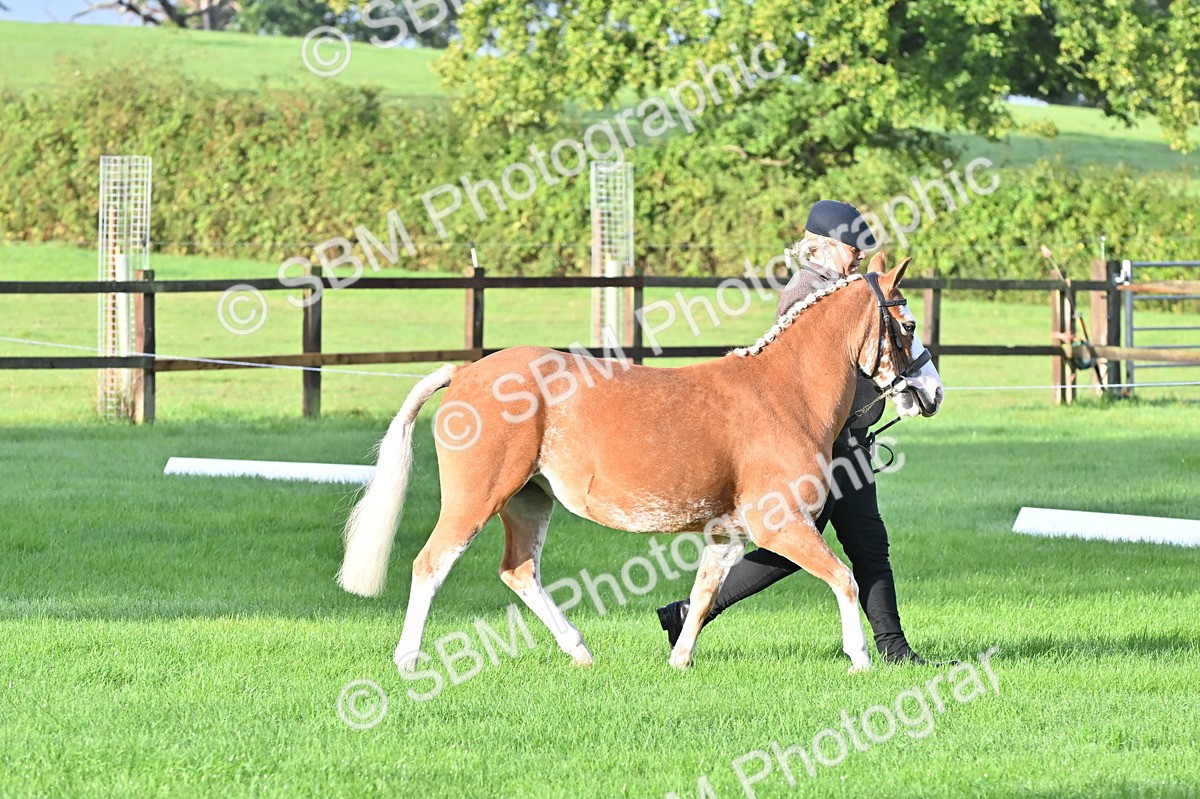 SBM_32599 - S15 - Top Turnout In Hand