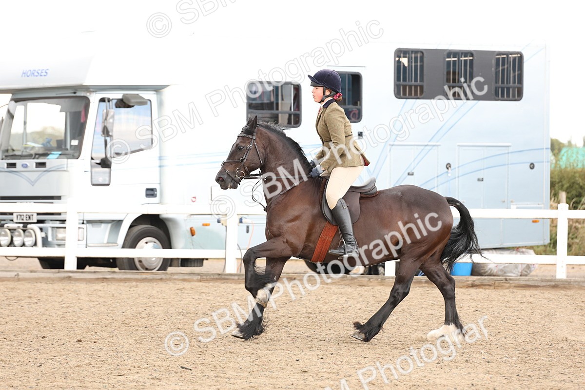 SBM_07551 - Class 59b -  Style & Performance - 80cm (20+)