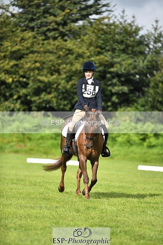 230826-094312-15204 - Sections C & D 9 to 10am