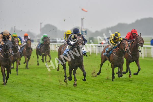 140723-Race 5-Monte Linas-8285 - Race 5 4.25pm Coopers Marquees Handicap