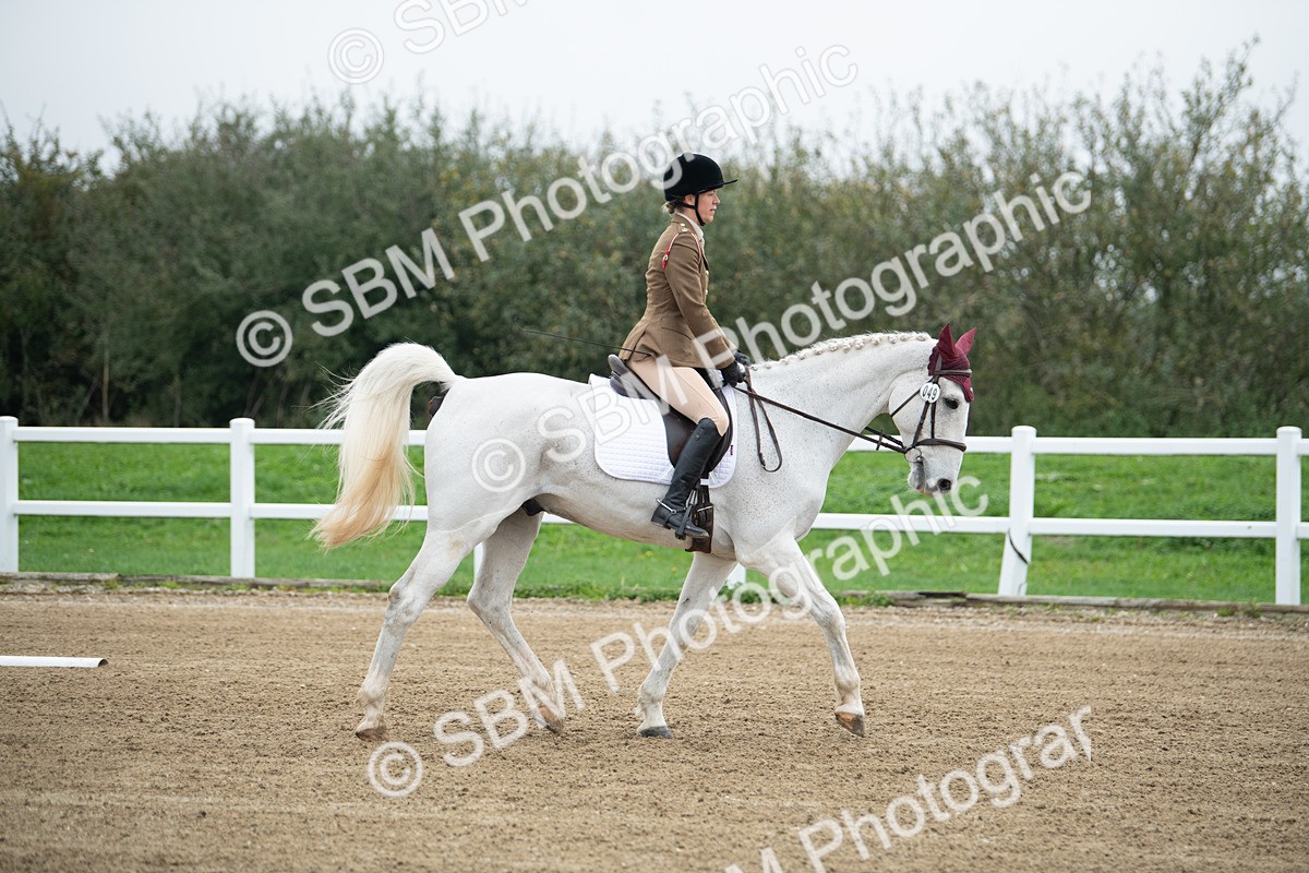 SBM_003453 - Introductory Test 3