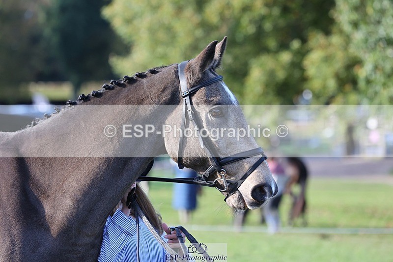 241027-093225-15341 - 319-Neve.Webber-MR.BUZZ