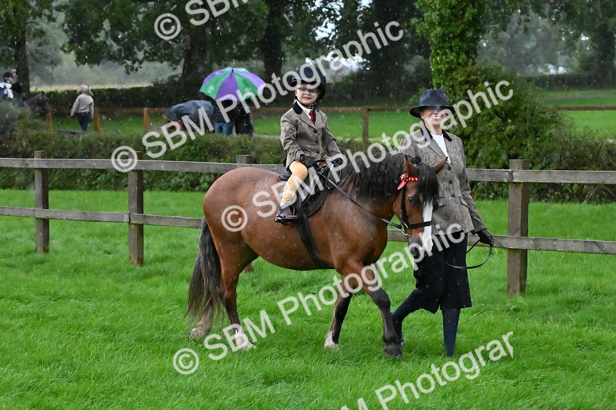 SBM_36431 - S18 - Novice & Newcomer Lead Rein Pony