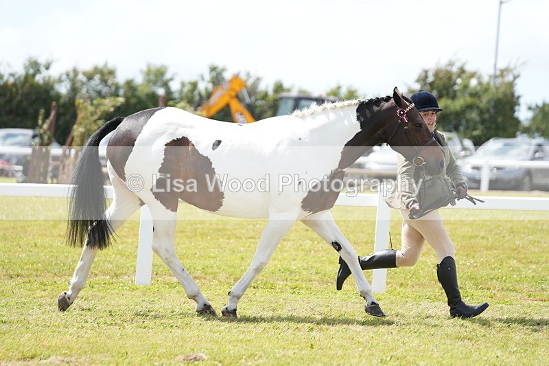 DSC07042 - Class 61: Coloured Horse 4yrs & Over