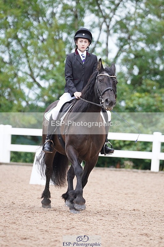 240809A-095126-00342 - Dressage Competition