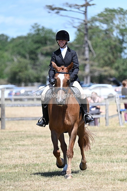 WJ7_3029 - Class 7 Riding Club Show Horse