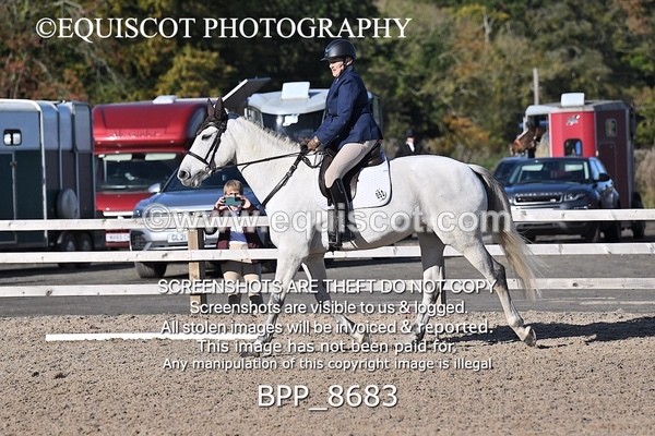 BPP_8683 - SHORT ARENA INTRO 3