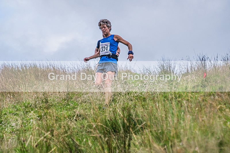 Steel Fell-601 - Steel Fell Race Wednesday 7th August 2024