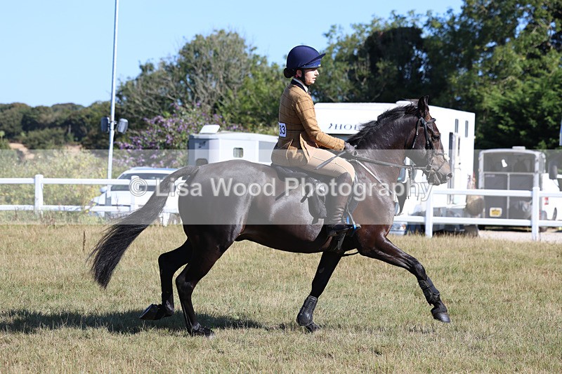 3E7A5497 - Class 3: Working Hunter 70cm