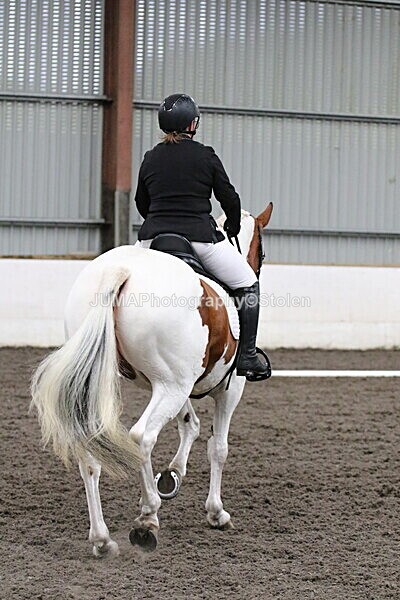 SIAL4526 - CAbin Dressage 5th july 2025