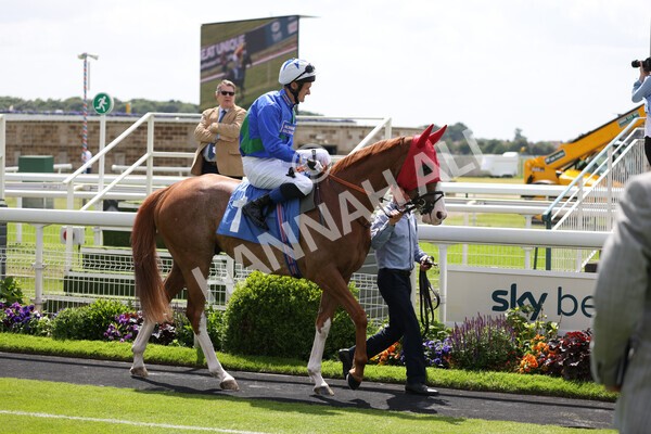 yr10062022r1-12 - Race 1 2.00pm Constant Security Gentlemen Amateur Riders Stakes