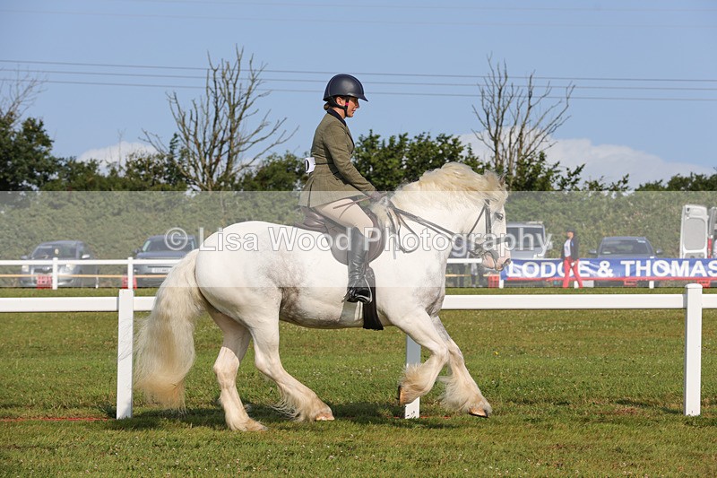 1X9A3249 - Class 28: Ridden Native/Trad Coloured Pony