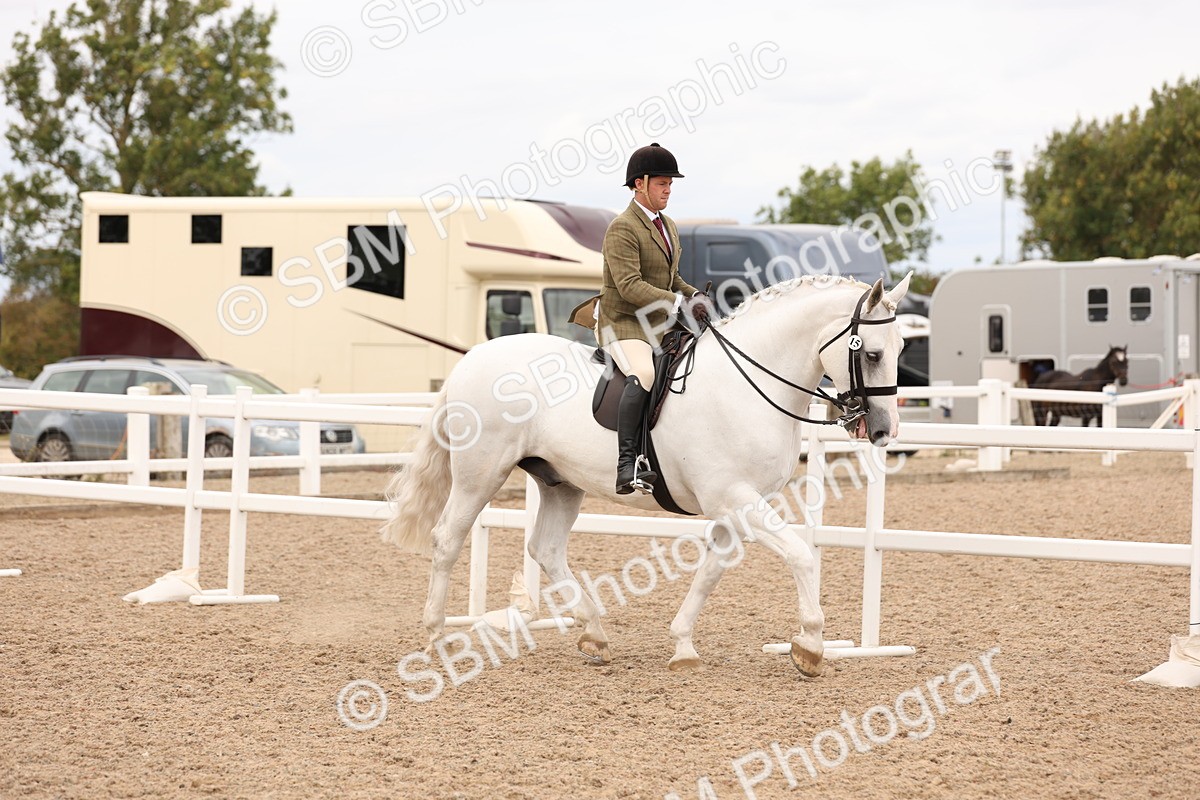 SBM_17190 - Class 213 - Ridden Hunter - Large