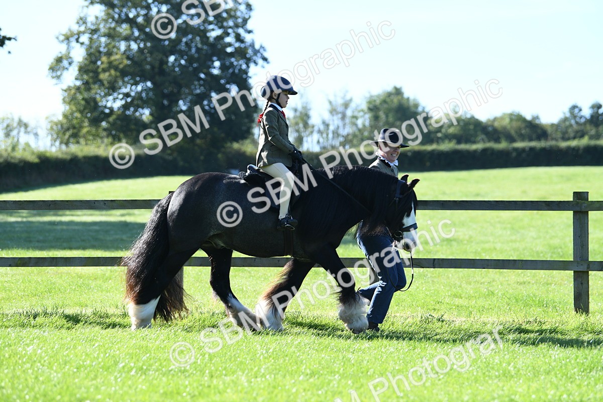 SBM_36724 - S18 - Novice & Newcomers Lead Rein Pony