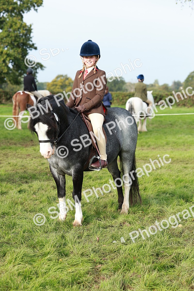 SBM_56439 - S39 - Starters In Hand Showing