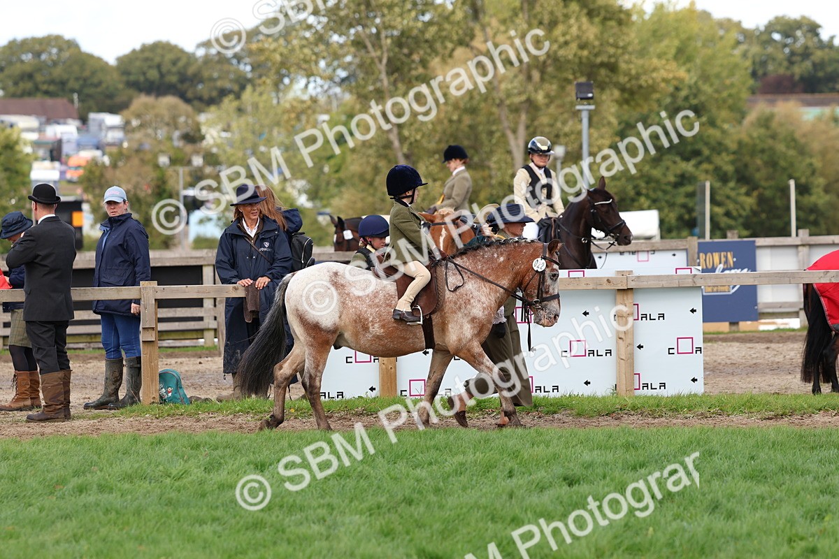 SBM_47599 - S28 - Veteran Ridden