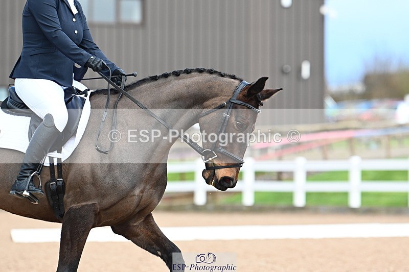 240323A-105501-01485 - DR Prelim 2