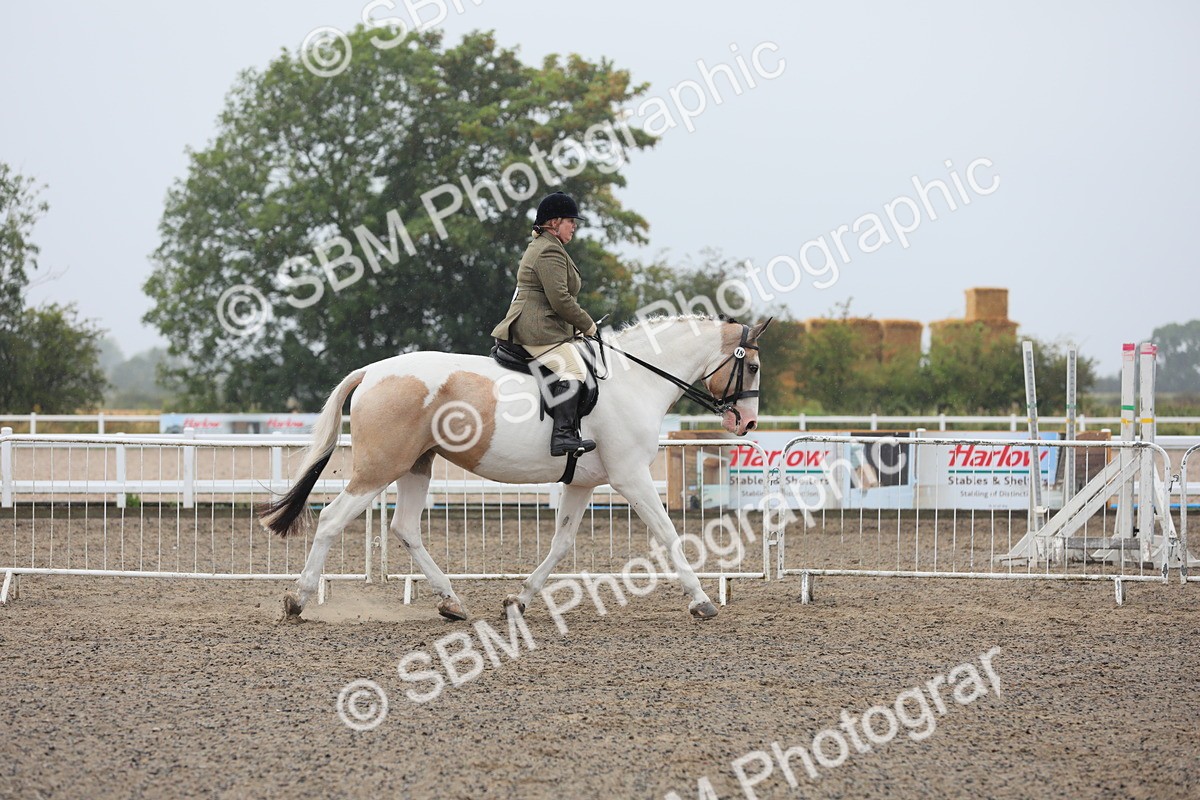 SBM_20282 - Class 803 - Ridden Combination 65+