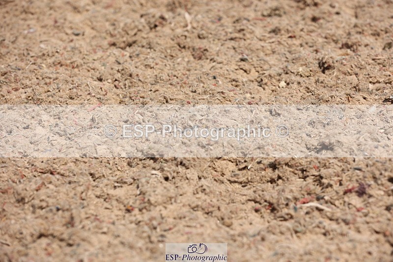 240621A-103625-00215 - Cls 6 BD Music Novice