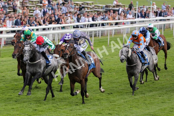 yr11062021r6-20 - Race 6 4.35pm Irish Thoroughbred Marketing Stakes