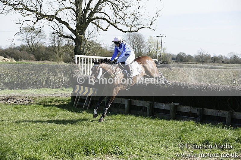 PtP 250317 42 - V.W.H. Hunt Point-to-Point Siddington 25/03/17