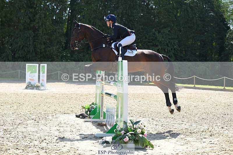 230528-103258-15007 - 263-CARWARTHEN_HARRIER-Polly_Muirhead-SJ