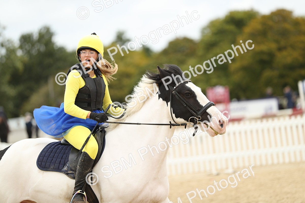 SBM_65802 - J48 - Pairs Jumping Open 70cm & 85cm