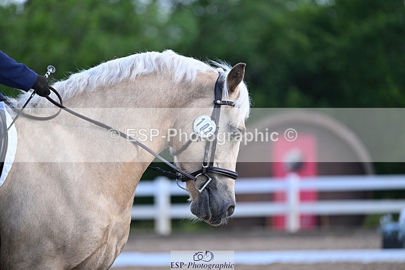 240622A-082739-06560 - Cls 25 BD Music Prelim