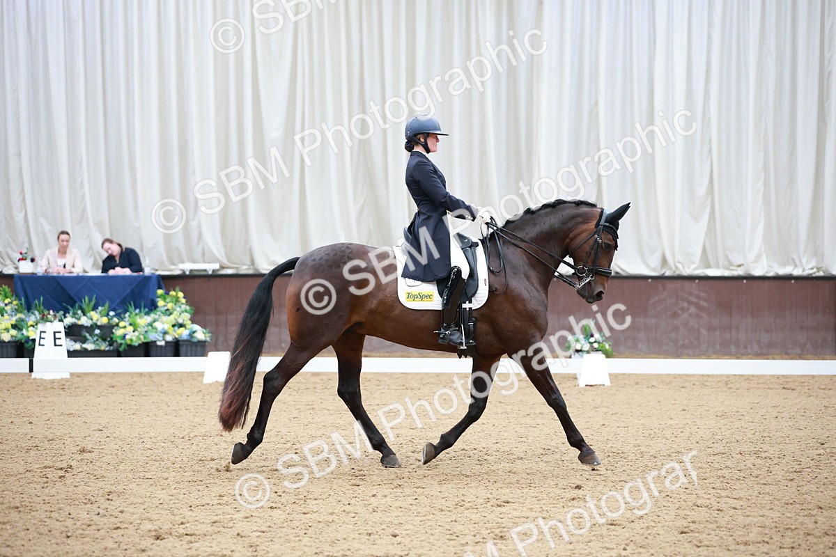 SBM_009723 - Class 13 - FEI PSG - 11.06-12.34