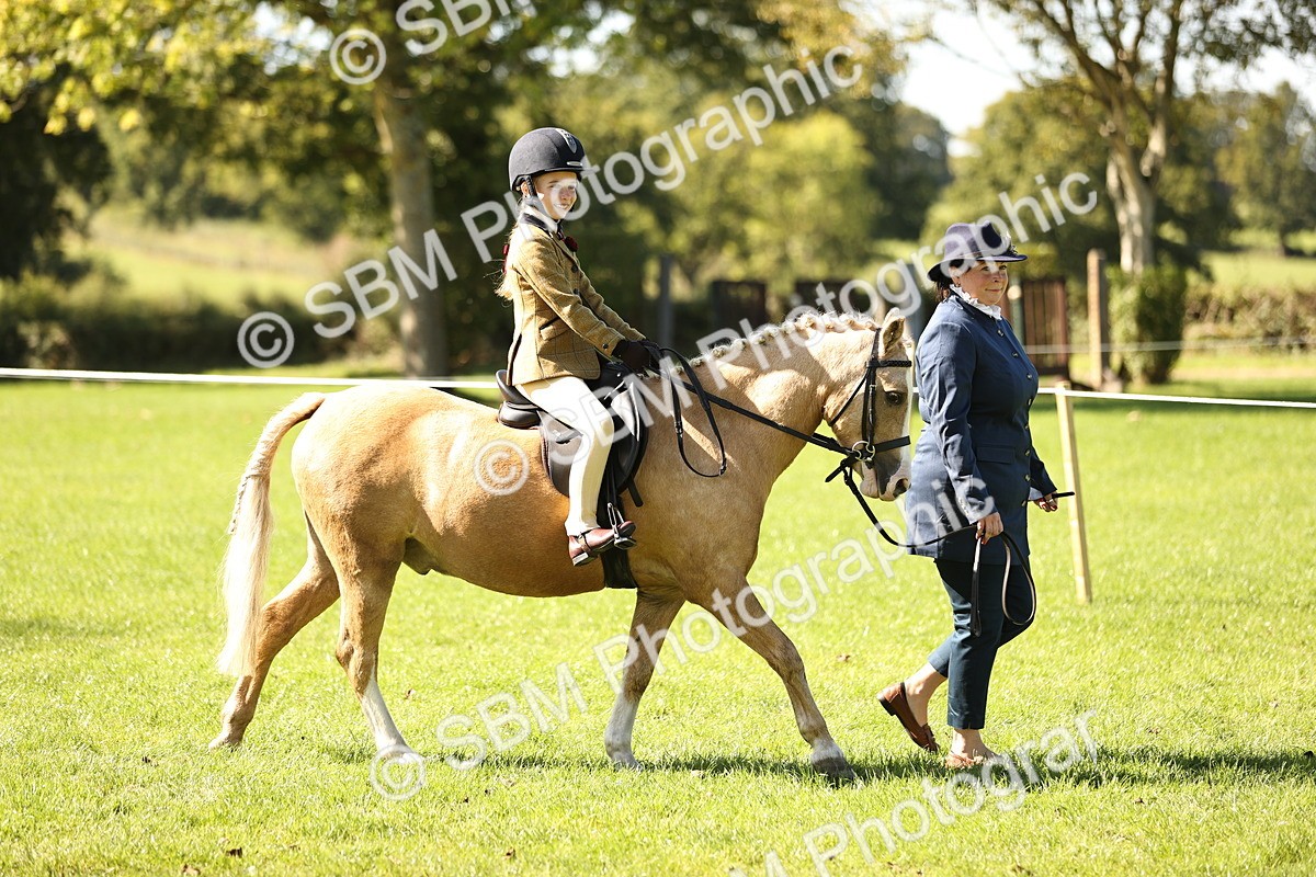 SBM_19212 - S3 - TSR Ridden Pony Showing