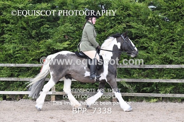 BPP_7338 - RING 1  (RIDDEN HORSES / IN HAND / VETERAN ETC)